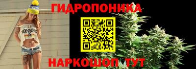 крисы Волжск